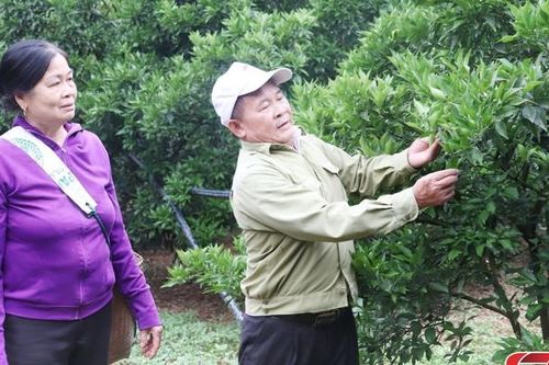 Mở rộng liên kết phát triển cây ăn quả ở tiểu khu Bản Ôn