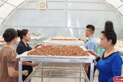 Đa dạng các mô hình giúp nông dân làm giàu