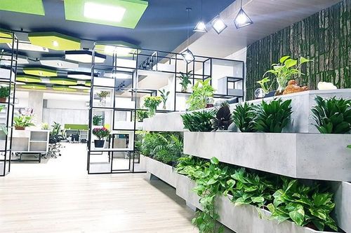 Nhu cầu thuê văn phòng dần chuyển dịch sang các tòa nhà được chứng nhận xanh