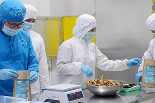 Doanh nghiệp chịu trách nhiệm về tính chính xác của hồ sơ đăng ký, khai báo kiểm dịch