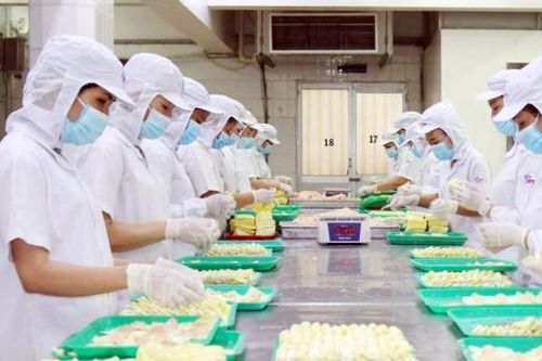 Đầu tư công nghệ sản xuất bao bì xanh để chặn sản phẩm nhiễm hóa chất độc hại