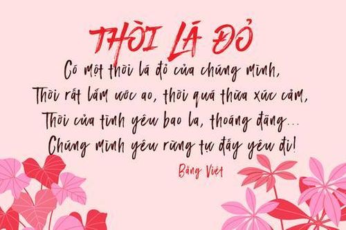 Bài thơ 'Thời lá đỏ' vào đề khảo sát môn Ngữ văn tỉnh Quảng Ninh