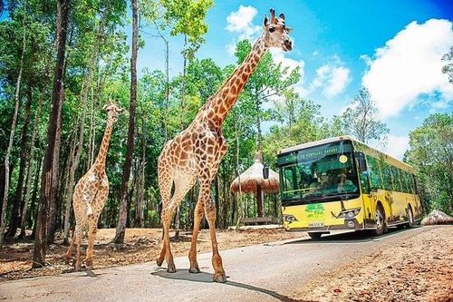 Có Vinpearl Safari Nha Trang không?