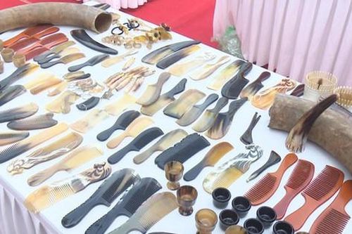 Bàn giải pháp nâng cao hiệu quả điểm du lịch làng nghề lược sừng Thụy Ứng