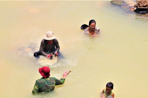 Đãi vàng sa khoáng, bất chấp hiểm nguy