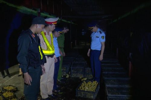 Ngăn chặn nhập lậu gia súc, gia cầm