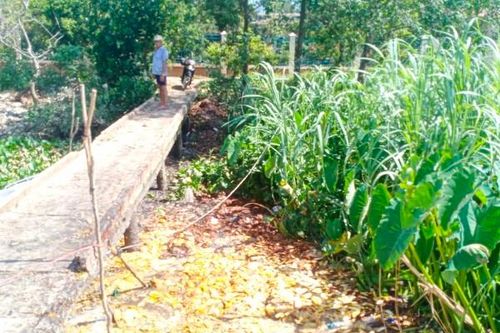 Tiền Giang: Phạt doanh nghiệp 70 triệu đồng vì không có giấy phép môi trường