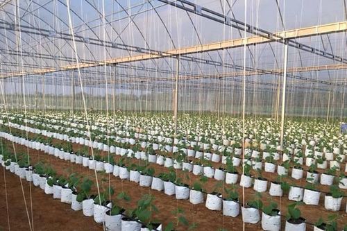 Tìm lối đi thoát nghèo cho đồng bào dân tộc thiểu số