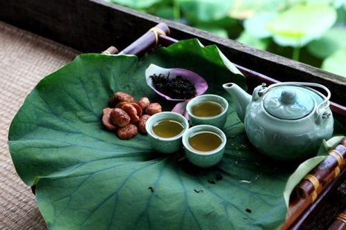 Hà Nội lần đầu tổ chức Lễ hội Sen