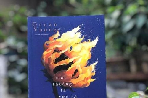Từ tranh luận 'dâm thư' của Ocean Vương: Nóng lại phân loại, dán nhãn tác phẩm văn học