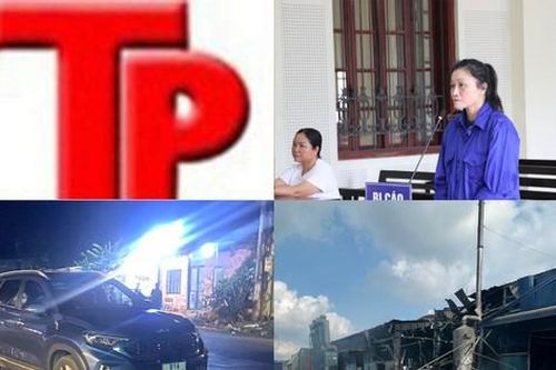 Bản tin Hình sự: 'Thầy tướng số' lừa kêu gọi góp vốn gần 270 tỉ đồng
