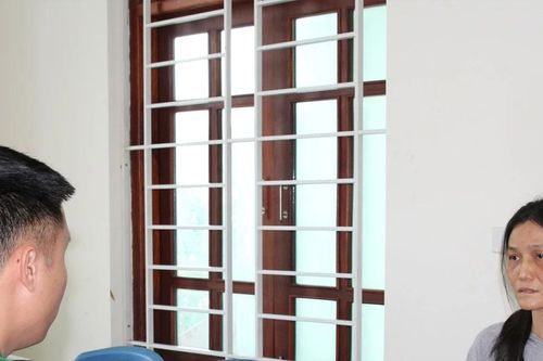 Lừa 12 tỷ của đại gia thành Vinh, Việt kiều giả lĩnh án