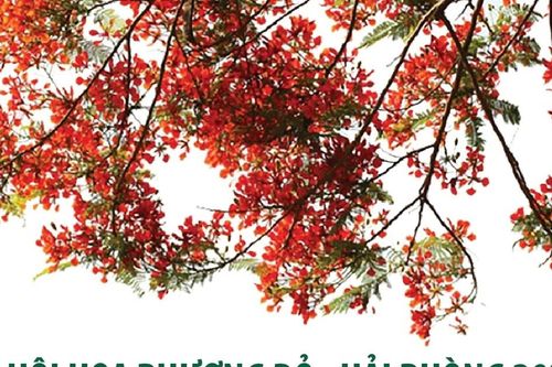 Lễ hội Hoa phượng đỏ Hải Phòng 2024: Hải Phòng-Bừng sáng miền di sản