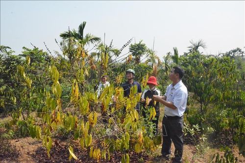 Bộ trưởng Lê Minh Hoan: Ứng phó hạn hán phải thay đổi tư duy sản xuất