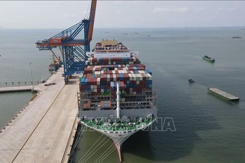 Cảng Cái Mép được tiếp nhận siêu tàu container