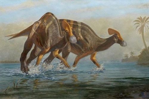 Phát hiện hóa thạch của loài khủng long đã tuyệt chủng 72 triệu năm: Biết 'nói chuyện' giống voi ngày nay