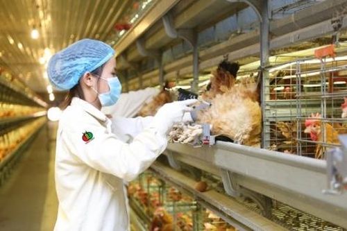Khuyến nghị cổ phiếu hôm nay 10/5: DBC, PVT và STK