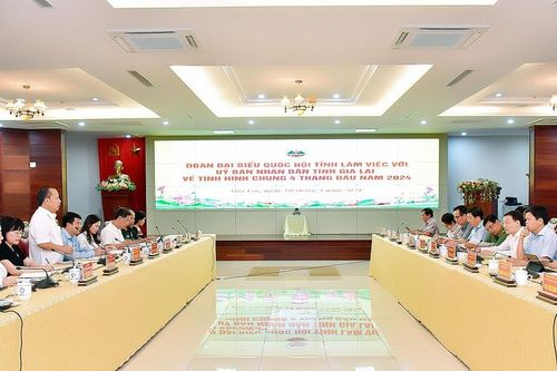 Đoàn đại biểu Quốc hội tỉnh làm việc với UBND tỉnh Gia Lai