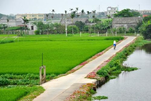Đường quê muôn nẻo