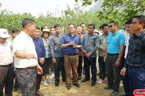 Đẩy mạnh hợp tác về nông nghiệp với các tỉnh nước bạn Lào
