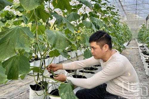 Đồng hành với thanh niên lập nghiệp