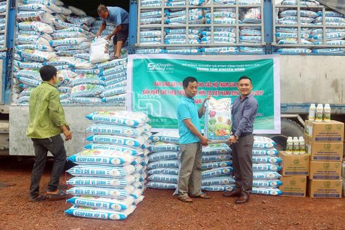 Hỗ trợ 250 tấn phân hữu cơ vi sinh cho các hợp tác xã trồng chè