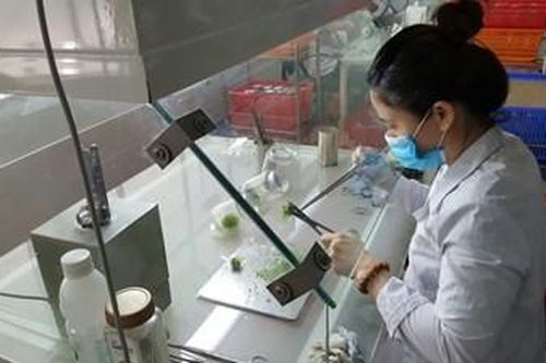 Tâm thế của nhà khoa học trong thực hiện Nghị quyết 54