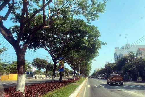 Phát triển cây xanh thành phố Đà Nẵng: Những vấn đề cần quan tâm