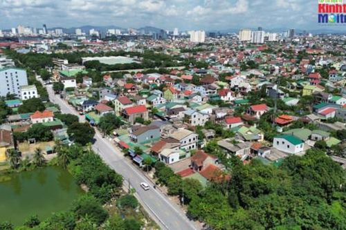 Nghệ An: Đôn đốc rà soát, cung cấp hồ sơ các dự án trồng cây xanh