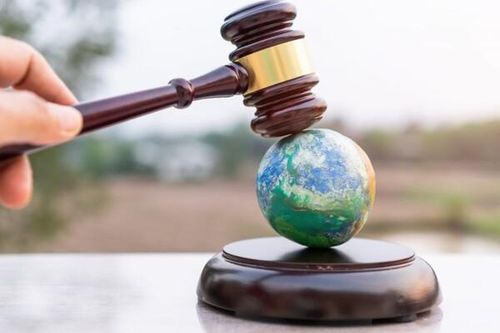 Vi phạm gây ô nhiễm môi trường bị phạt bao nhiêu tiền?