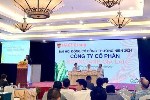 Bầu Đức quyết tâm xóa lỗ lũy kế vào cuối năm nay, muốn IPO công ty chăn nuôi