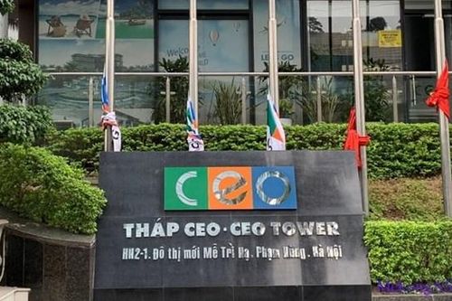 CEO Group đặt mục tiêu lợi nhuận tăng 24%, chia cổ tức 5%