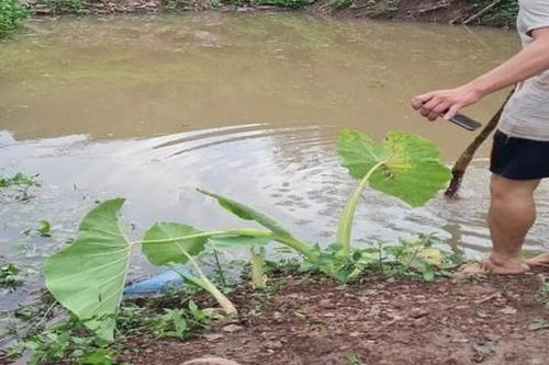 Ba ông cháu tử vong thương tâm tại hố nước gần nhà