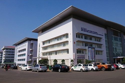 Đắk Lắk ghi nhận ca viêm não Nhật Bản đầu tiên trong năm 2024