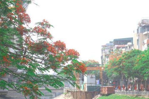 Bài tham dự Cuộc thi viết: 'Kỷ niệm 70 năm Giải phóng Thủ đô: Ký ức tự hào': Để dòng Tô thắm xanh