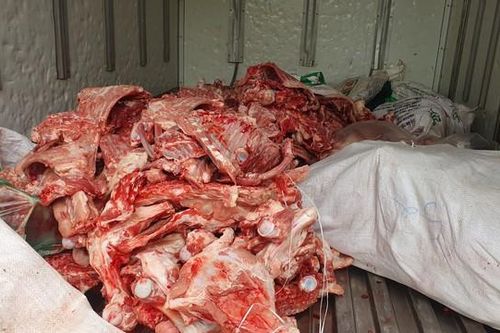 Kinh hoàng 700kg xương lợn, lòng lợn không đảm bảo an toàn thực phẩm, vệ sinh thú y 'suýt' đến mâm cơm người tiêu dùng