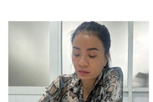 Bắt thầy tướng số lừa đảo gần 300 tỷ đồng ở Nam Định