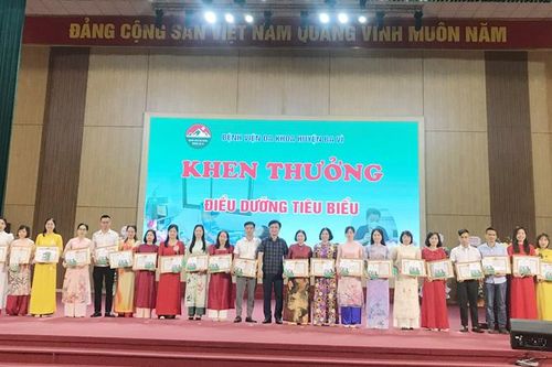 Góp phần xây dựng, phát triển hệ thống điều dưỡng thành phố Hà Nội thêm vững mạnh