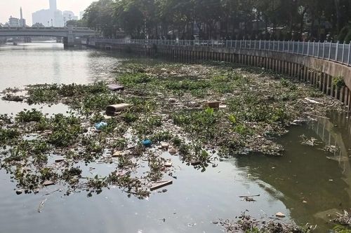 Ngăn chặn xả rác bừa bãi: Xử lý mạnh tay, quyết liệt hơn