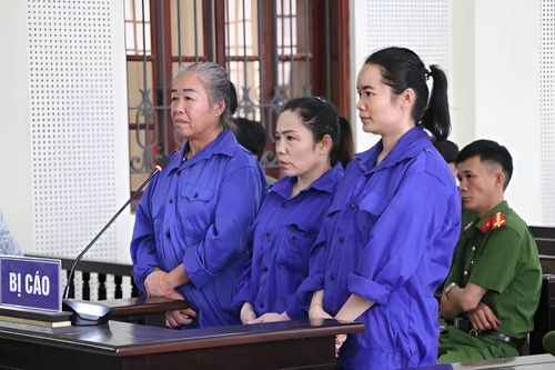 Hai mẹ con ở Nghệ An lĩnh án vì buôn 'cái chết trắng'
