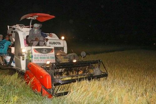 Nông dân Hà Tĩnh đội đèn gặt lúa trong đêm để tránh nắng