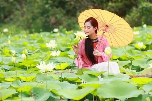 Giới trẻ xúng xính áo dài chụp ảnh bên hoa sen trắng