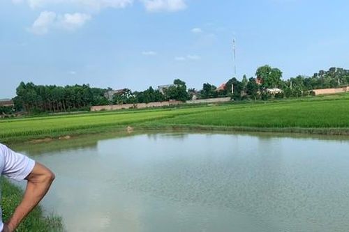 Rủ nhau ra hồ chơi, 2 học sinh lớp 8 tử vong