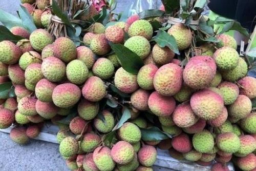 Giá nông sản hôm nay: Vải đầu mùa lên tới 120.000 đồng/kg