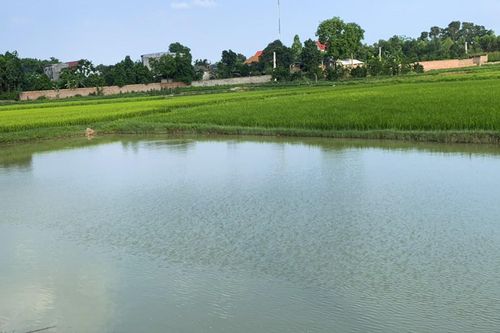 Hai học sinh lớp 8 chết đuối dưới ao nước ở Bắc Giang