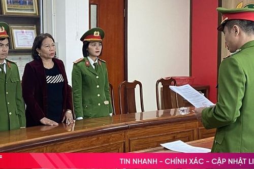 Hình phạt tội trốn thuế được quy định như thế nào?