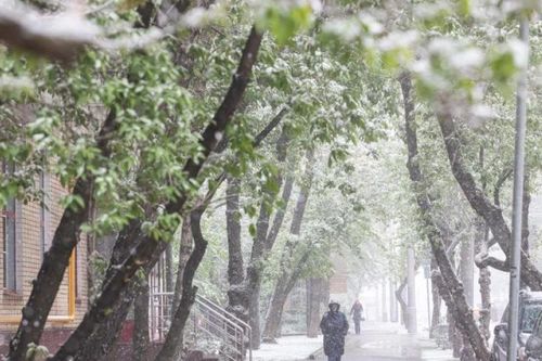 Băng tuyết bất thường phá hủy vụ mùa ở nhiều tỉnh của Nga
