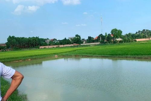 Bắc Giang: Hai nam sinh lớp 8 đuối nước thương tâm khi đi tắm ao