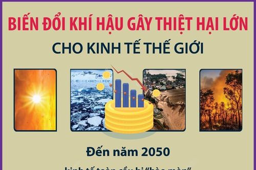 Biến đổi khí hậu gây thiệt hại lớn cho kinh tế thế giới