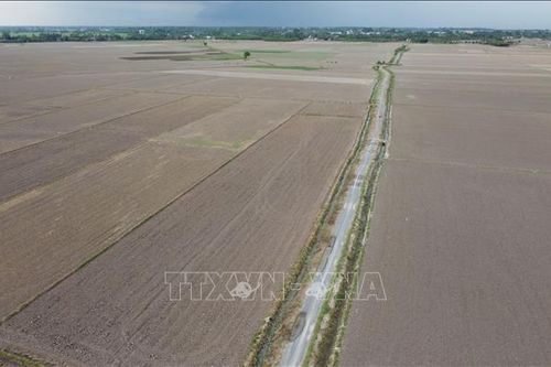Không gieo sạ khoảng 180 ha lúa để phản đối giá tưới tiêu nước quá cao